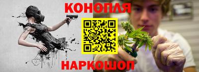 трава Лесосибирск