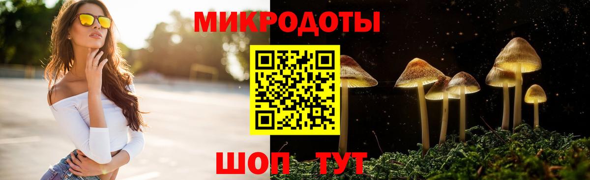 Уссурийск  сколько стоит  Вход с VPN  Псилоцибиновые грибы GOLDEN TEACHER 